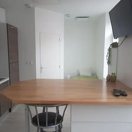 Apartment 1a A Neuf Equipe *